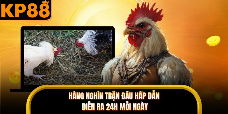 Hàng nghìn trận đấu hấp dẫn diễn ra 24h mỗi ngày