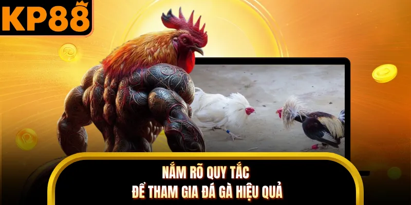 Nắm rõ quy tắc để tham gia đá gà hiệu quả