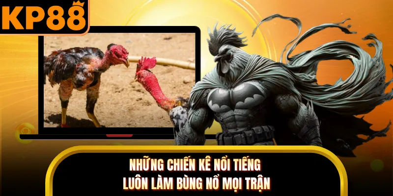 Những chiến kê nổi tiếng luôn làm bùng nổ mọi trận